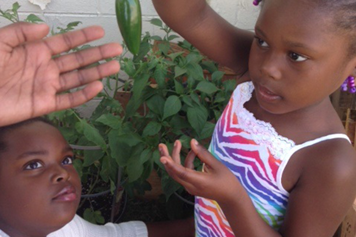 A summer school garden grows in NE Washington